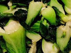 -佬肥猫(七宝宝龙店)