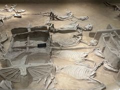 -洛阳周王城天子驾六博物馆