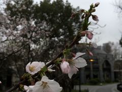 门面-御花园·粤菜·海鲜火锅(中山公园店)