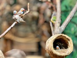 -Zoolung Zoolung动物主题公园(海信广场店)