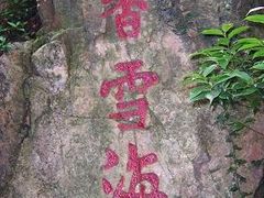 -香雪海