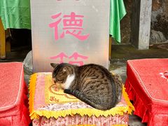 -小汪糕点(万达茂店)