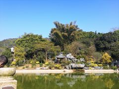 -谷丰健康凤贤居酒家