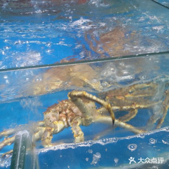 家中福海中鲜广场
