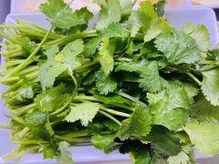 -野妹火锅(龙岗店)