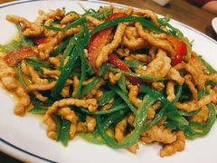 双椒肉丝-果城龙凤瓦罐煨汤馆(新豪天地店)