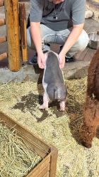 -Zoolung Zoolung动物主题公园(海信广场店)