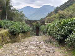 -仙霞关景区