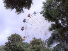 -红山森林动物园