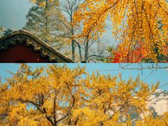 -青岛崂山太清宫