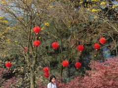 -铁山坪森林公园