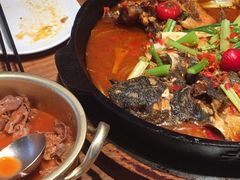 -老板恋上鱼(恒隆广场店)