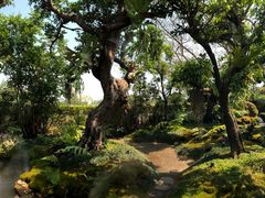 -Chom Cafe and Restaurant