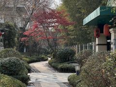 -春晖园度假酒店温泉