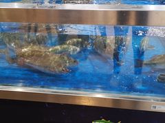-盒马鲜生(枣园路店)