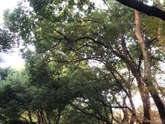 -杭州半山国家森林公园