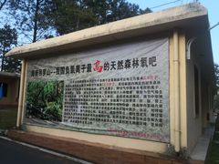 -海南热带雨林国家公园吊罗山景区