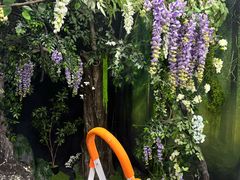 -魔法日记三坑cosplay换装自拍体验馆