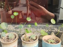 -川匠·睡眠采耳·SPA(九眼桥店)