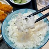 棉云般软滑的猪排太下饭了‼️｜豚勝日式猪排专门店