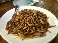 -缘生态云南菜·野生菌庭院餐厅(华侨城店)