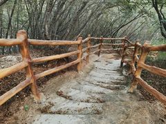 -黑龙潭风景区