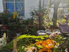 -家烧面馆【南山路知名经典面食】