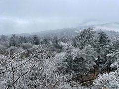 -峨眉山风景名胜区