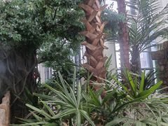 -悦隆庄温泉度假酒店