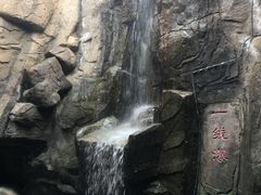 -成吉思汗公园