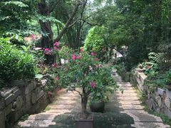 -老木棉·匠园