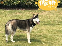 -久宴·天目湖大鱼头(恐龙园店)