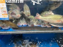 -盒马鲜生(双清路店)