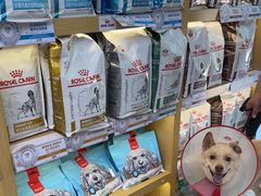 -美联众合动物医院·24h转诊中心