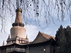 -张掖大佛寺景区