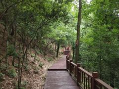 -石燕湖生态旅游景区