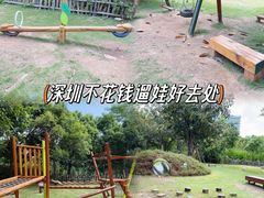 -福田红树林生态公园