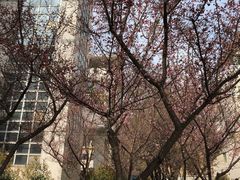 -西安外国语大学(长安校区)