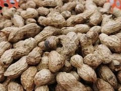 -小六农家乐(崇明西沙湿地店)