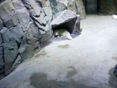 -临沂极地海洋王国