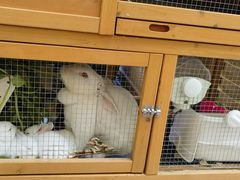 -硅谷蒙学幼儿园