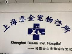 -睿金宠物医院·CT·肿瘤·骨外科