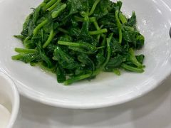 炒豆苗-瑞福园联谊餐室(茂名南路店)