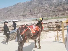 -陕西黄河壶口瀑布旅游区