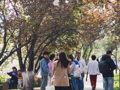 -元大都城垣遗址公园