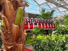 -南宫五洲植物乐园