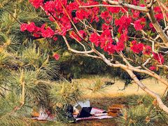 -莲花池公园