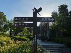 -大亚湾红树林城市湿地公园