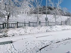 -江南天池