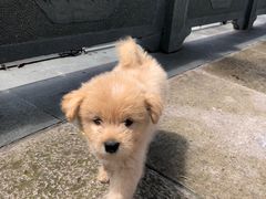 -溪口-滕头旅游景区